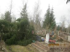 6 апреля 2020 . Великий Новгород. Муниципальное кладбище &quot;Западное&quot;. Последствия шквалистого ветра. Фото предоставлено МКУ &quot;Городское хозяйство&quot;